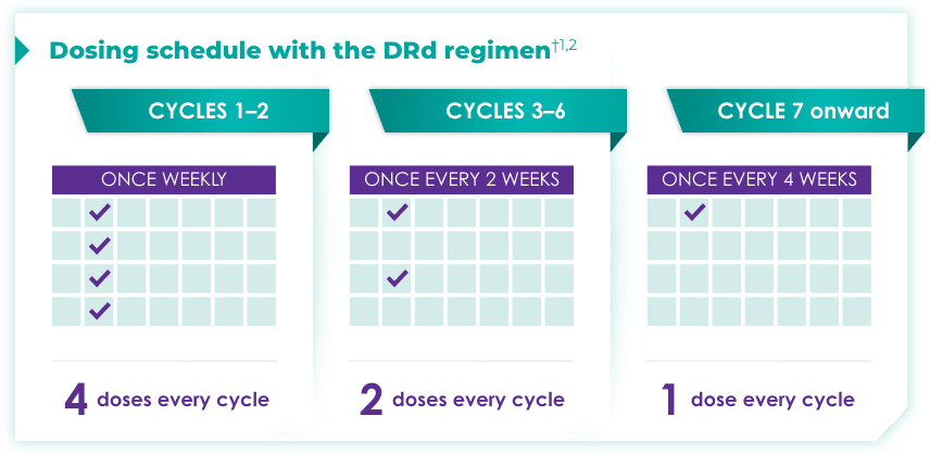 DARZALEX® dosing schedule: newly diagnosed DRd regimen