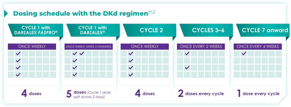 Dosing schedule with the DKd regimen