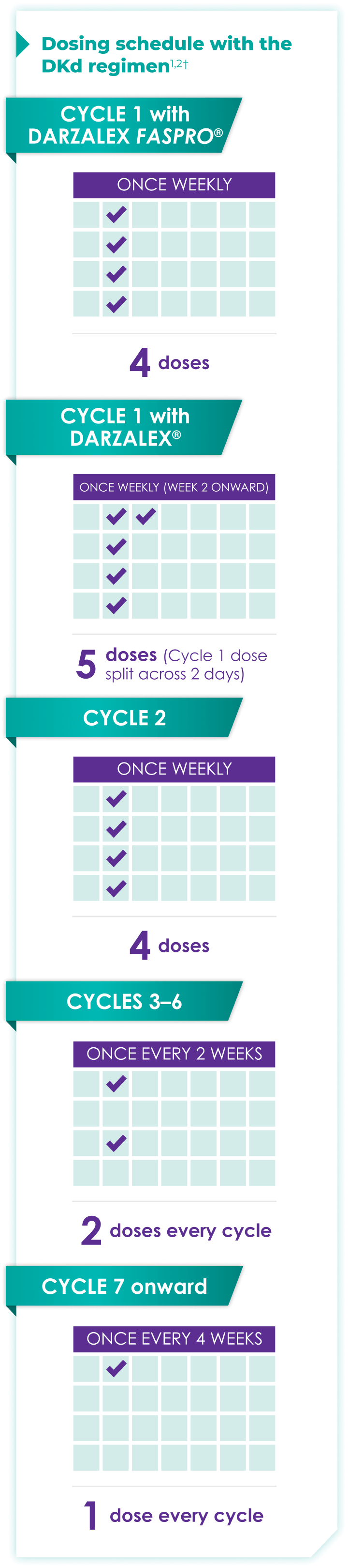 Dosing schedule with the DKd regimen