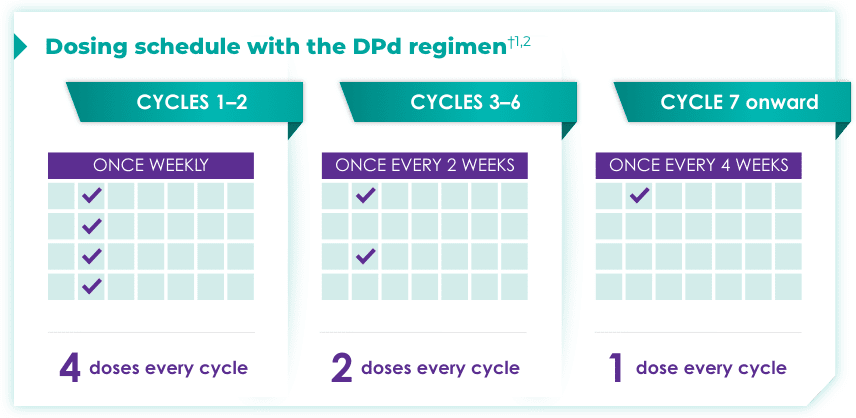 Chart showing dosing schedule on the DPd regimen