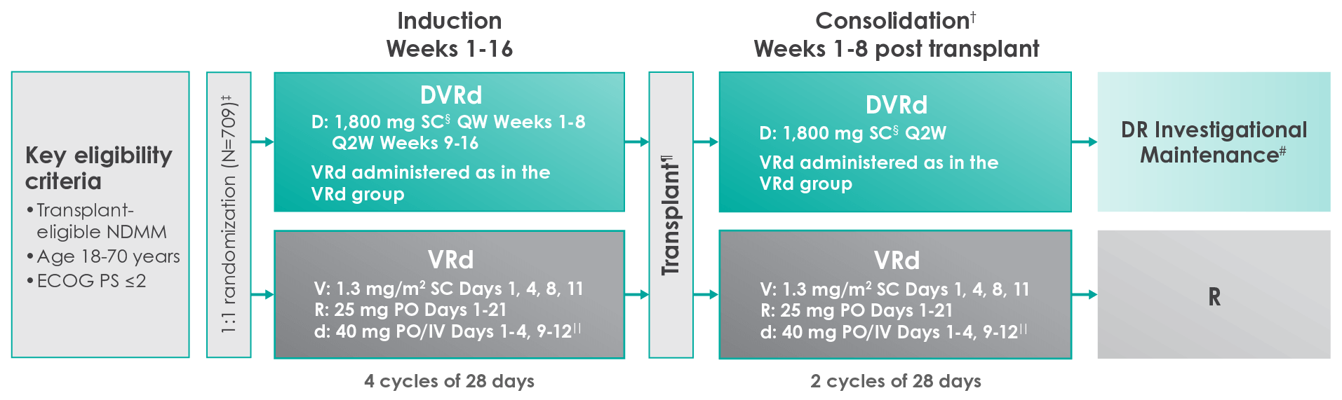 Study Design chart