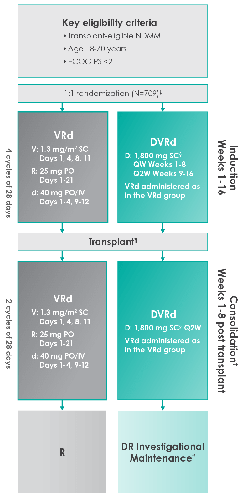 Study Design chart