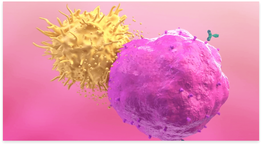 DARZALEX FASPRO® (daratumumab and hyaluronidase-fihj) mechanism of action (MOA) video thumbnail